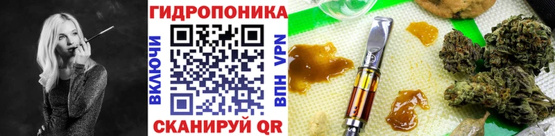 Бошки марихуана сатива  где продают   Биробиджан 